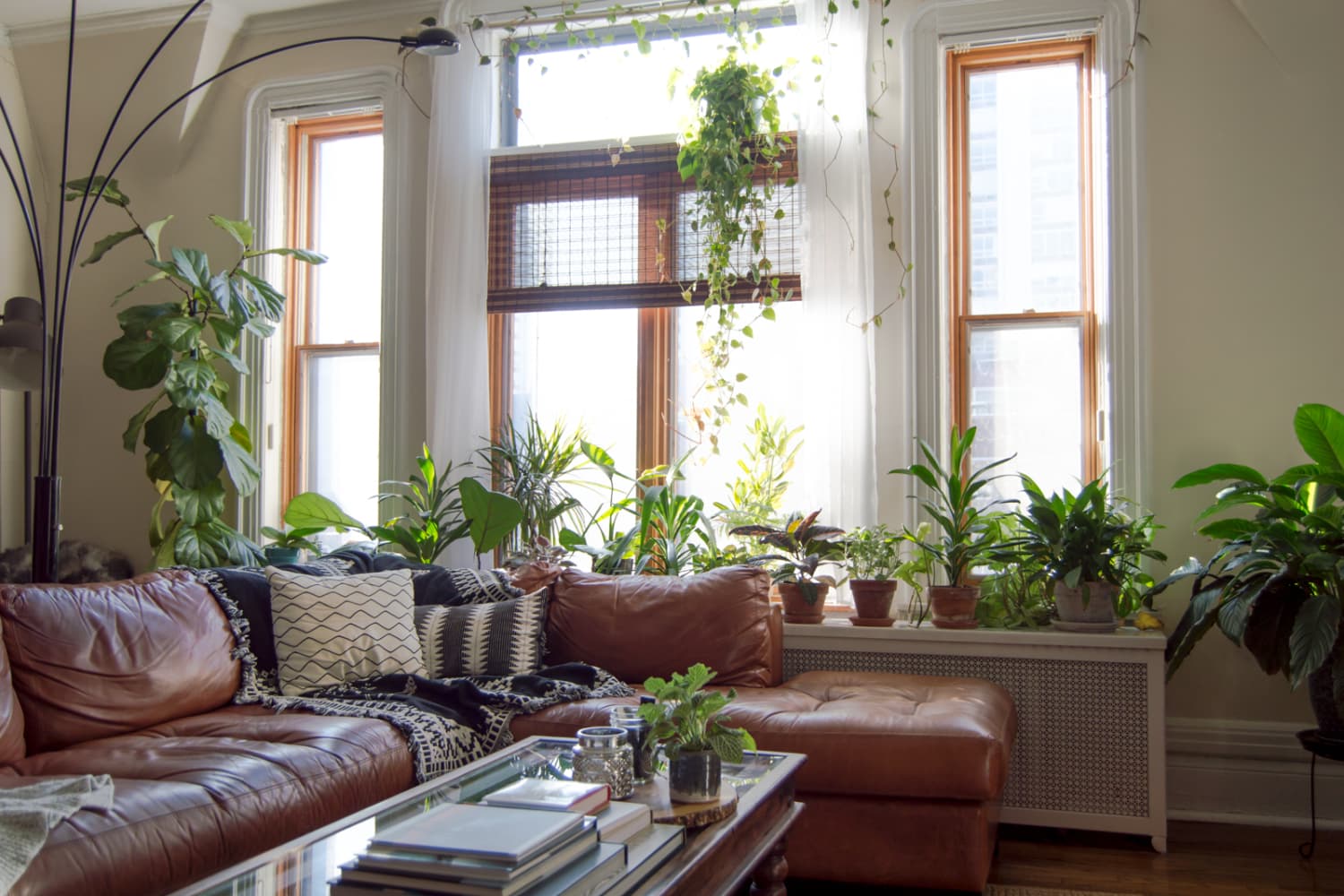View of Plant-Filled Warm Industrial Rustic Decor Inspiration | Apartment Therapy